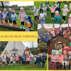 Gumisie