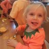 Misie